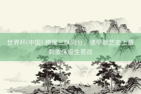 世界杯(中国) 榜尾三队同分，德甲献艺史上最刺激保级生苦战