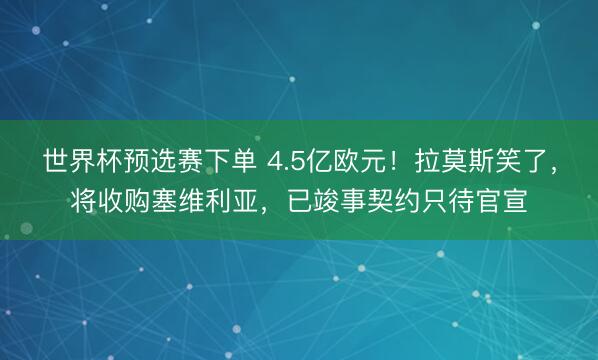 世界杯预选赛下单 4.5亿欧元!拉莫斯笑了,将收购塞维利亚,已竣事契约只待官宣
