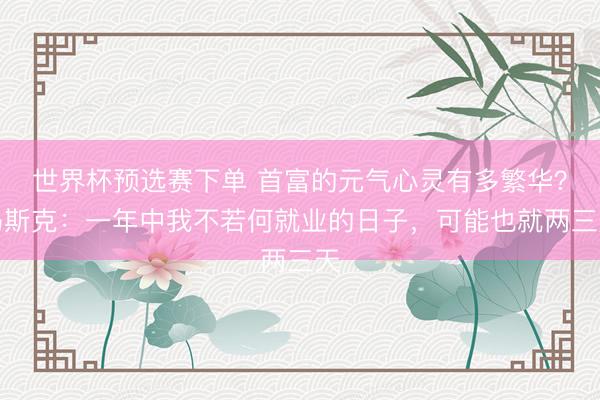 世界杯预选赛下单 首富的元气心灵有多繁华？马斯克：一年中我不若何就业的日子，可能也就两三天