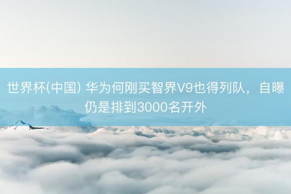 世界杯(中国) 华为何刚买智界V9也得列队,自曝仍是排到3000名开外