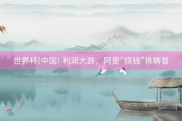 世界杯(中国) 利润大跌，阿里“烧钱”换畴昔