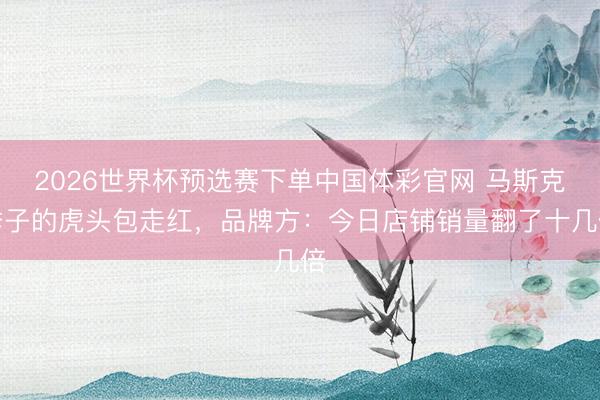 2026世界杯预选赛下单中国体彩官网 马斯克季子的虎头包走红，品牌方：今日店铺销量翻了十几倍