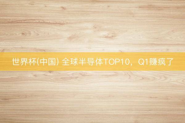 世界杯(中国) 全球半导体TOP10，Q1赚疯了