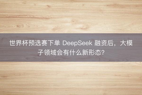 世界杯预选赛下单 DeepSeek 融资后，大模子领域会有什么新形态？