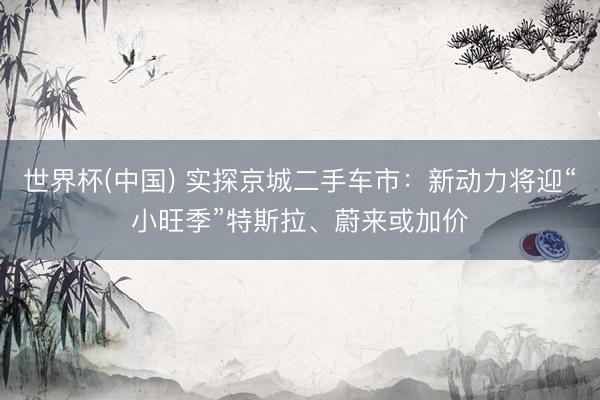 世界杯(中国) 实探京城二手车市：新动力将迎“小旺季”特斯拉、蔚来或加价