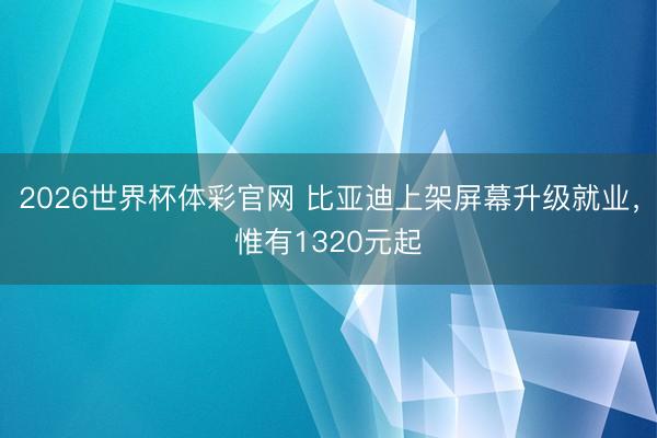 2026世界杯体彩官网 比亚迪上架屏幕升级就业，惟有1320元起