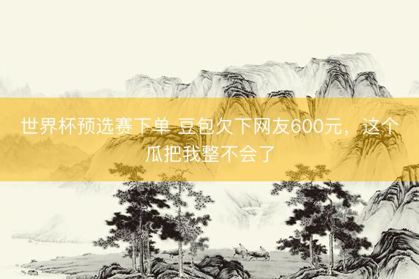 世界杯预选赛下单 豆包欠下网友600元，这个瓜把我整不会了