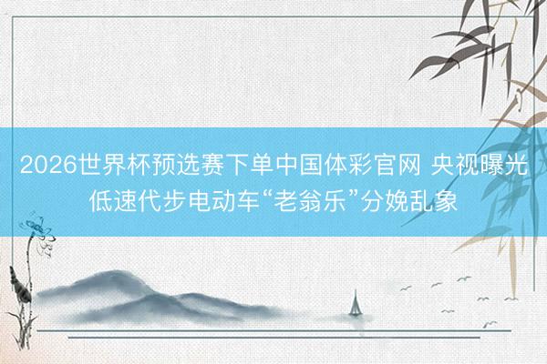 2026世界杯预选赛下单中国体彩官网 央视曝光低速代步电动车“老翁乐”分娩乱象