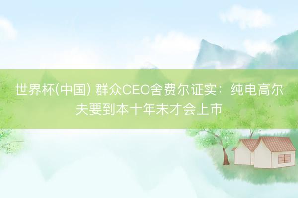 世界杯(中国) 群众CEO舍费尔证实：纯电高尔夫要到本十年末才会上市