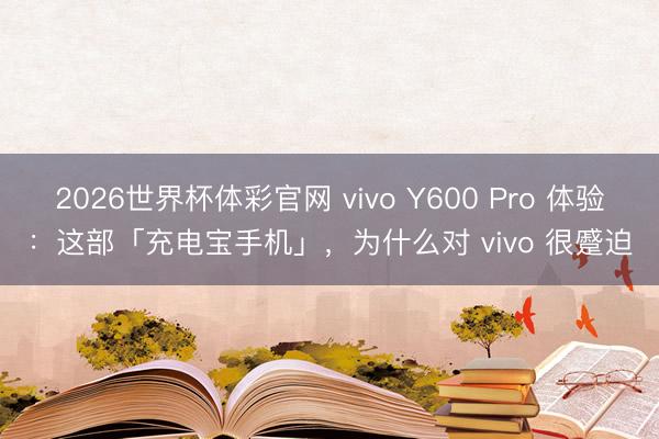 2026世界杯体彩官网 vivo Y600 Pro 体验：这部「充电宝手机」，为什么对 vivo 很蹙迫