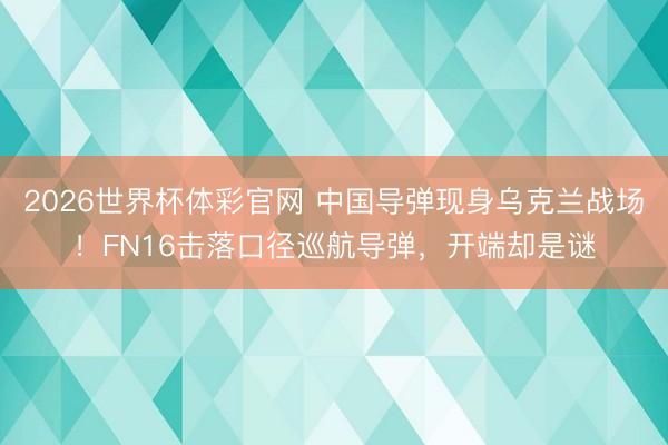 2026世界杯体彩官网 中国导弹现身乌克兰战场！FN16击落口径巡航导弹，开端却是谜