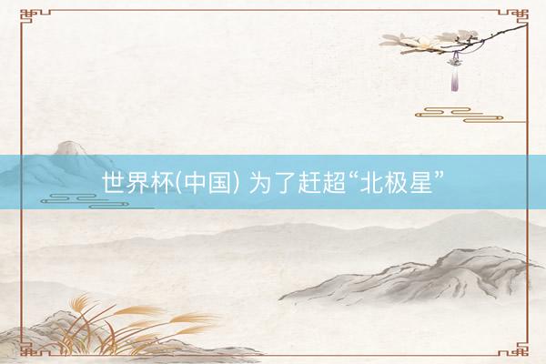 世界杯(中国) 为了赶超“北极星”