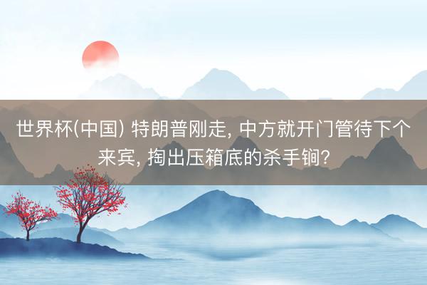 世界杯(中国) 特朗普刚走， 中方就开门管待下个来宾， 掏出压箱底的杀手锏?