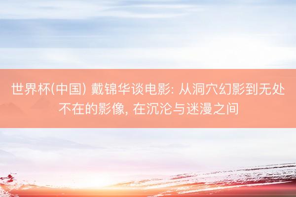 世界杯(中国) 戴锦华谈电影: 从洞穴幻影到无处不在的影像， 在沉沦与迷漫之间