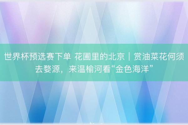 世界杯预选赛下单 花圃里的北京｜赏油菜花何须去婺源，来温榆河看“金色海洋”