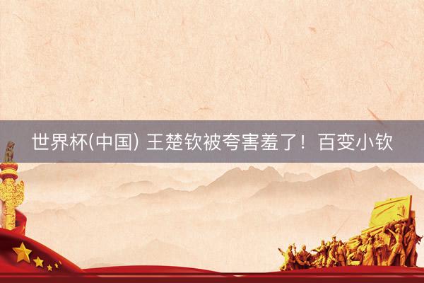 世界杯(中国) 王楚钦被夸害羞了！百变小钦