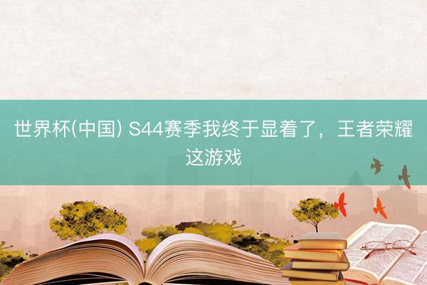世界杯(中国) S44赛季我终于显着了，王者荣耀这游戏