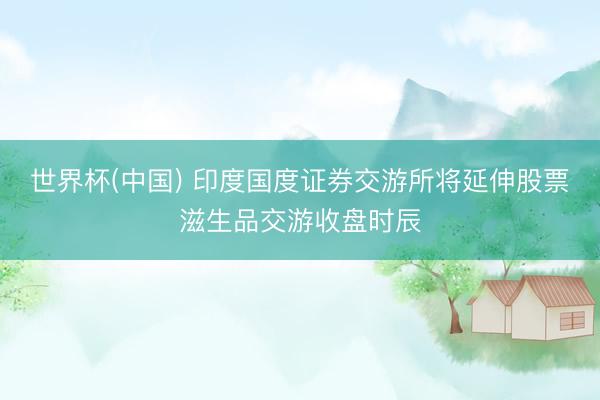 世界杯(中国) 印度国度证券交游所将延伸股票滋生品交游收盘时辰