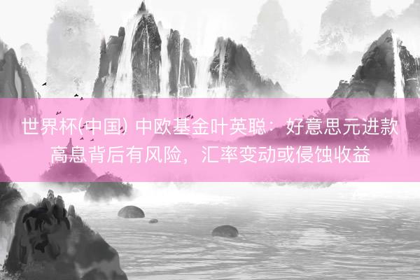 世界杯(中国) 中欧基金叶英聪：好意思元进款高息背后有风险，汇率变动或侵蚀收益