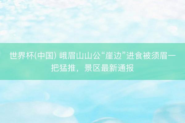 世界杯(中国) 峨眉山山公“崖边”进食被须眉一把猛推，景区最新通报