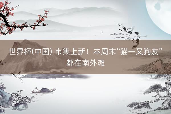 世界杯(中国) 市集上新!本周末“猫一又狗友”都在南外滩