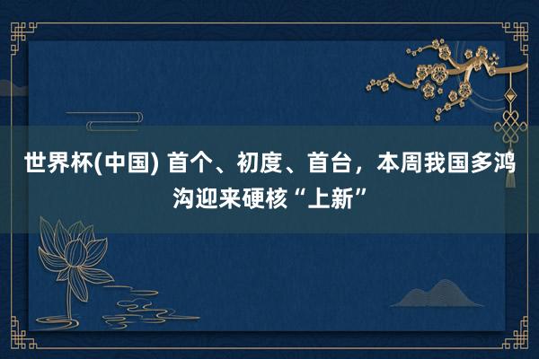 世界杯(中国) 首个、初度、首台，本周我国多鸿沟迎来硬核“上新”