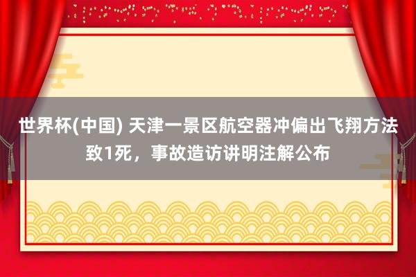 世界杯(中国) 天津一景区航空器冲偏出飞翔方法致1死,事故造访讲明注解公布