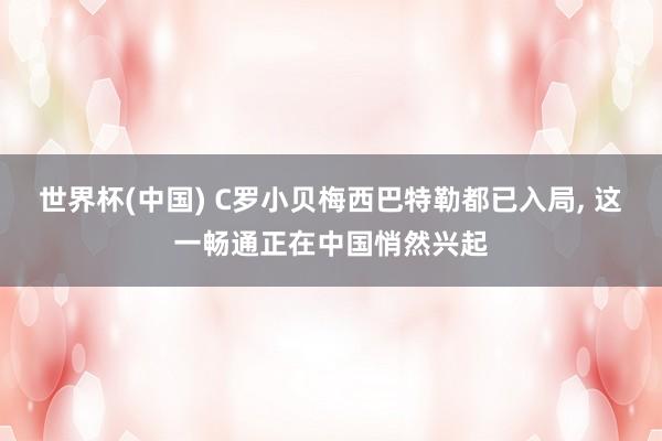 世界杯(中国) C罗小贝梅西巴特勒都已入局， 这一畅通正在中国悄然兴起
