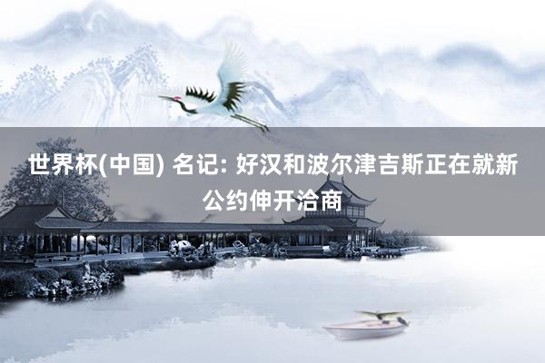 世界杯(中国) 名记: 好汉和波尔津吉斯正在就新公约伸开洽商